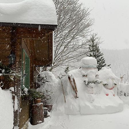 Appartement Aigner Mauterndorf  Esterno foto